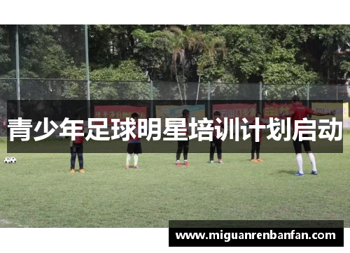 青少年足球明星培训计划启动